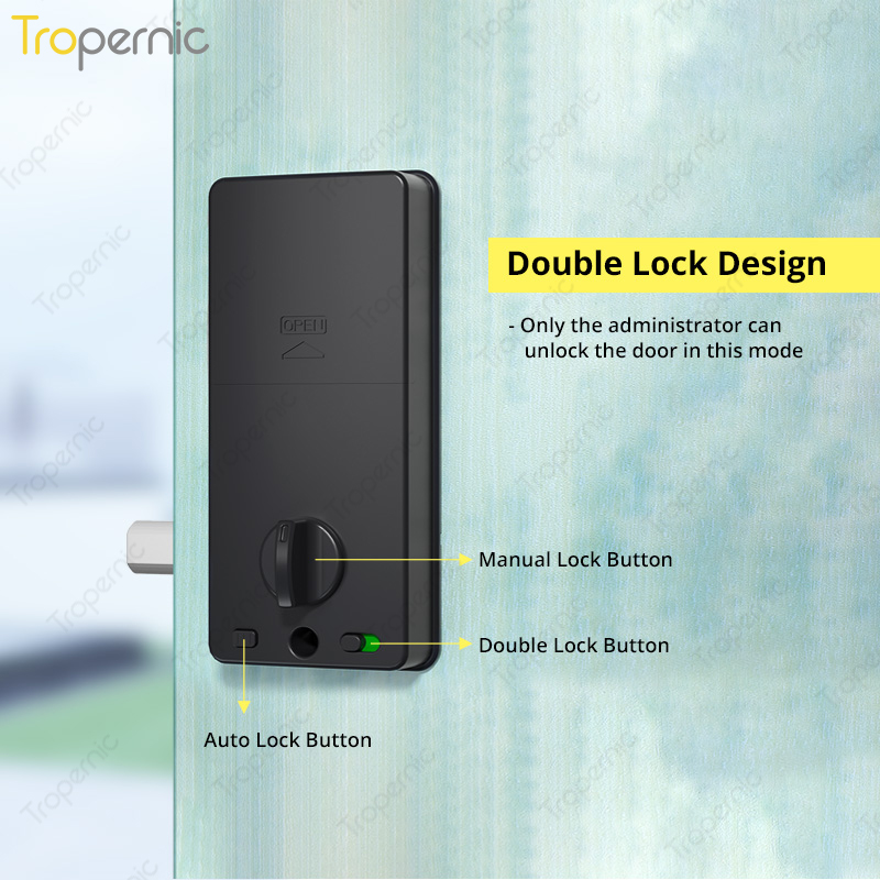 Zigbee Tuya kunci gerendel pin - Smart Door Lock Wifi ulasan dan harga